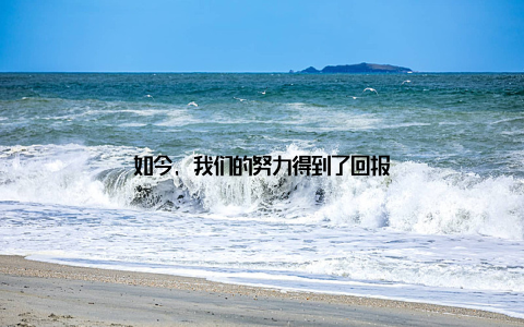 如今, 我们的努力得到了回报