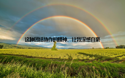 这种团结协作的精神, 让我深感自豪