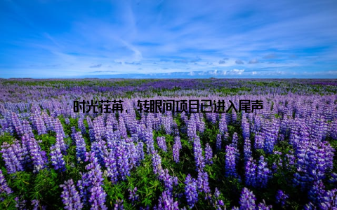 时光荏苒, 转眼间项目已进入尾声