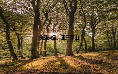 食品安全, 重于泰山