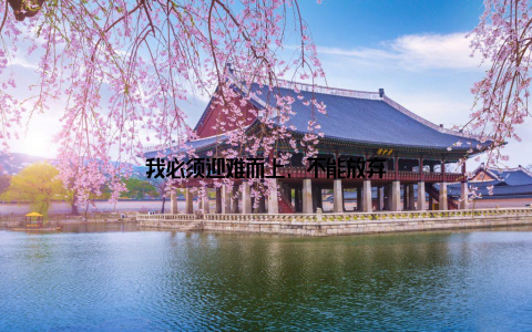 我必须迎难而上, 不能放弃