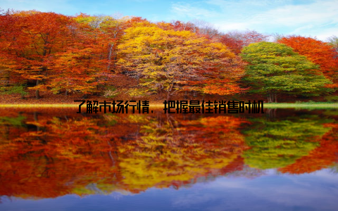 了解市场行情, 把握最佳销售时机