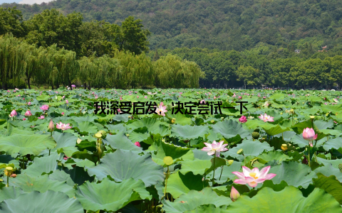 我深受启发, 决定尝试一下