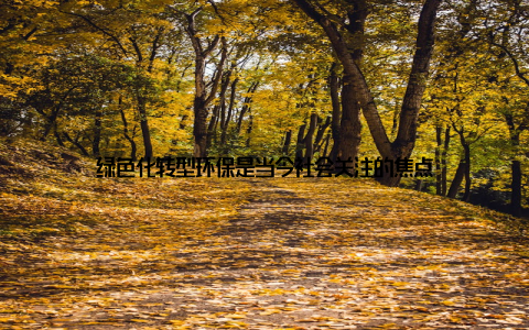 绿色化转型环保是当今社会关注的焦点