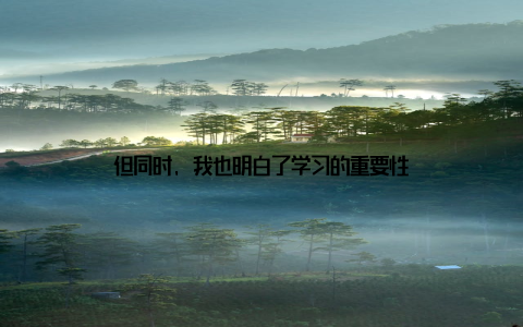 但同时, 我也明白了学习的重要性