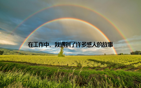 在工作中, 我遇到了许多感人的故事
