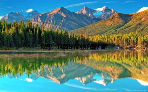 我想, 这就是商业的魅力吧