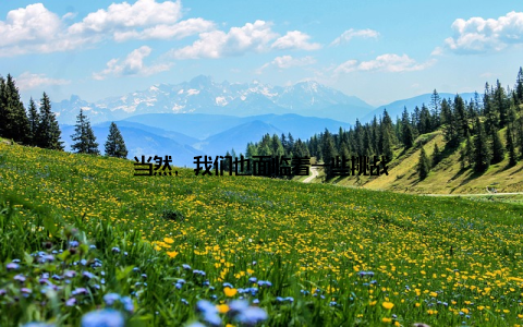 当然, 我们也面临着一些挑战