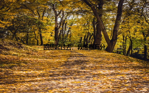 回想起过去, 我感慨万分