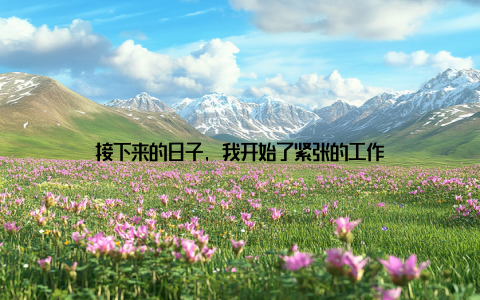 接下来的日子, 我开始了紧张的工作