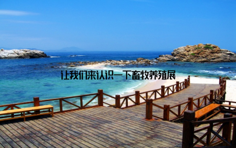 让我们来认识一下畜牧养殖展