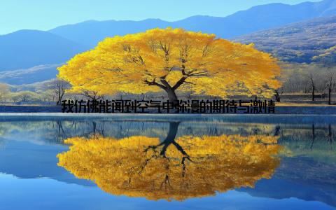 我仿佛能闻到空气中弥漫的期待与激情