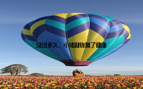 没过多久, 小猪就恢复了健康