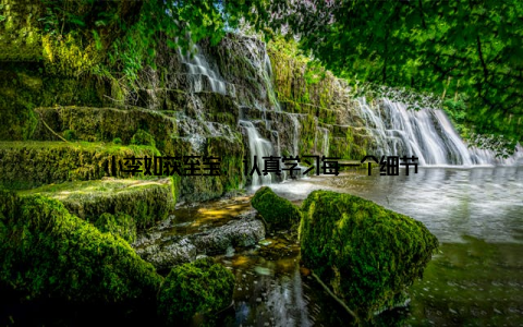 小李如获至宝, 认真学习每一个细节