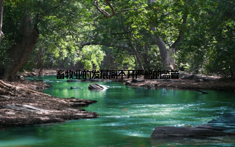 畜牧业的发展离不开严格的监管