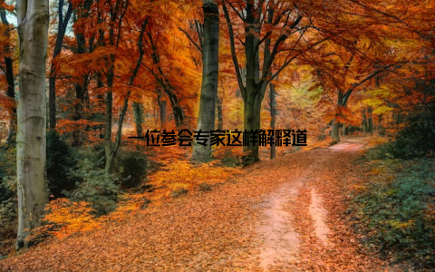 一位参会专家这样解释道