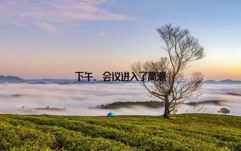 下午, 会议进入了高潮