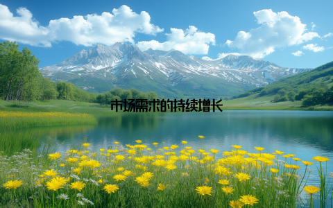 市场需求的持续增长