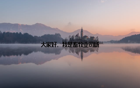 大家好, 我是畜牧业司杨