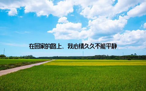 在回家的路上, 我心情久久不能平静