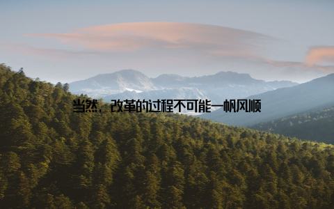 当然, 改革的过程不可能一帆风顺