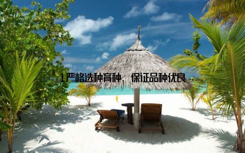 1严格选种育种, 保证品种优良