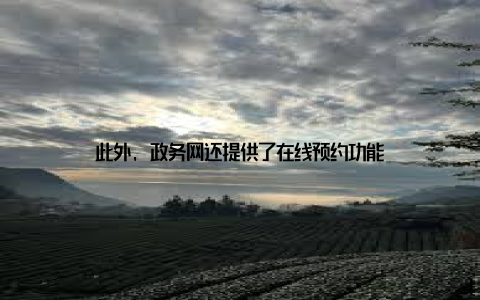此外, 政务网还提供了在线预约功能