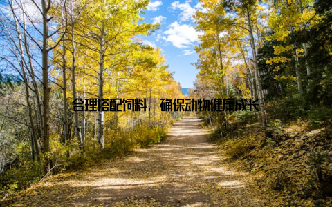 合理搭配饲料, 确保动物健康成长