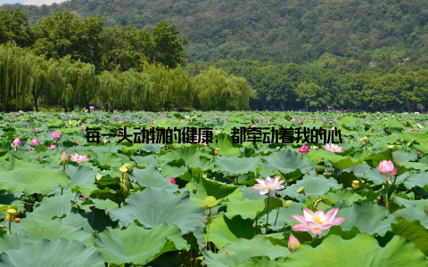 每一头动物的健康, 都牵动着我的心