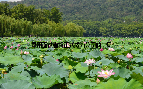 录用面试者将正式成为公司的一员