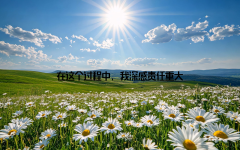 在这个过程中, 我深感责任重大