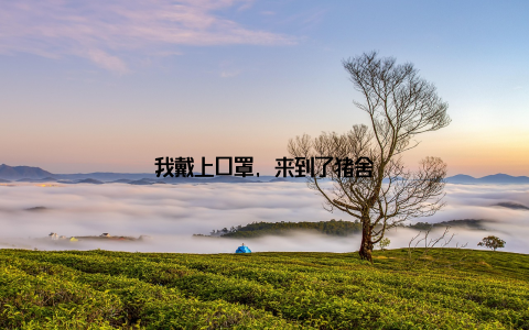 我戴上口罩, 来到了猪舍