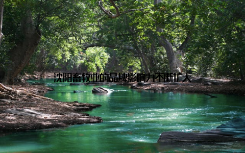 沈阳畜牧业的品牌影响力不断扩大