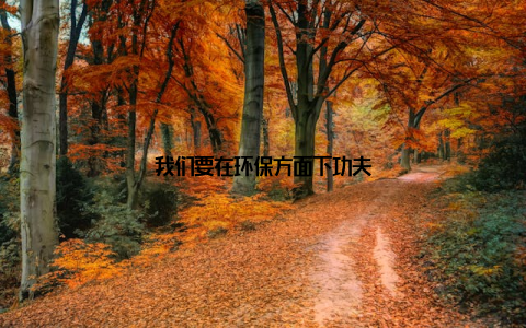 我们要在环保方面下功夫