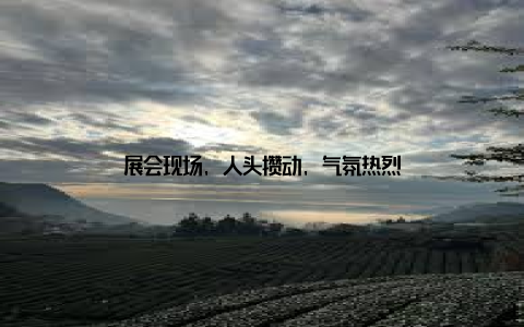 展会现场, 人头攒动, 气氛热烈