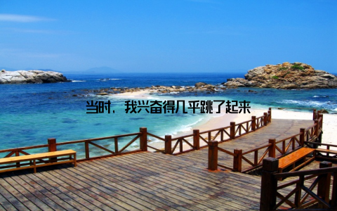 当时, 我兴奋得几乎跳了起来