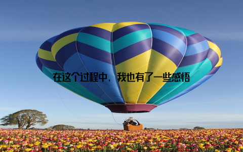 在这个过程中, 我也有了一些感悟