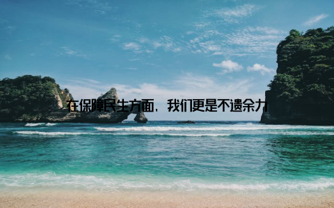 在保障民生方面, 我们更是不遗余力