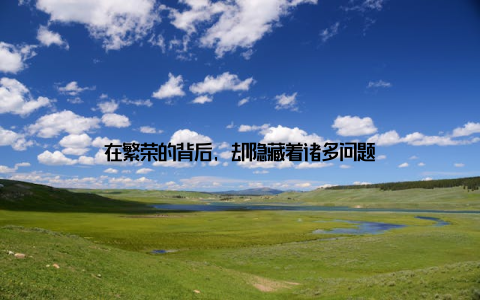 在繁荣的背后, 却隐藏着诸多问题