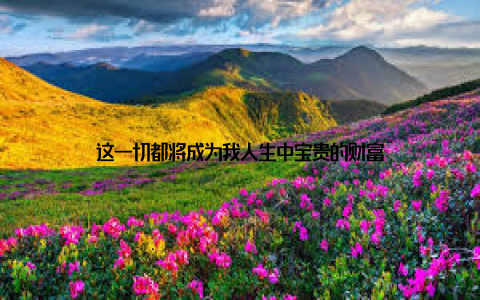 这一切都将成为我人生中宝贵的财富