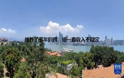 他养了多年的鸡, 但一直收入不稳定