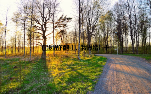 在返程的路上, 我思绪万千