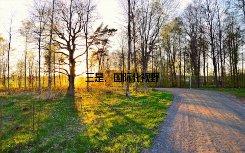 三是, 国际化视野