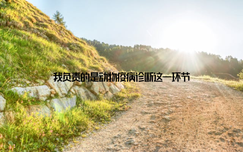 我负责的是动物疫病诊断这一环节