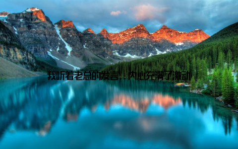 我听着老总的发言, 内心充满了激动