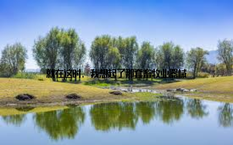 就在这时, 我想起了那套畜牧业器械