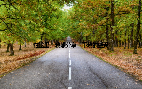 在这里, 我想分享一下我的感受