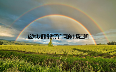 这为我们提供了广阔的市场空间