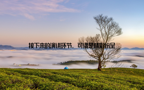 接下来的演讲环节, 可谓是精彩纷呈