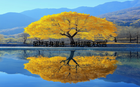 虽然浑身湿透, 但我却毫无怨言